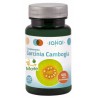 Garcinia Cambogia de Sakai para controlar la grasa corporal - Oferta