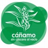 El cànem és un aliment amb major valor protèic i àcids grassos