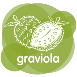 La graviola és una planta molt preuada a l'Amèrica Tropical