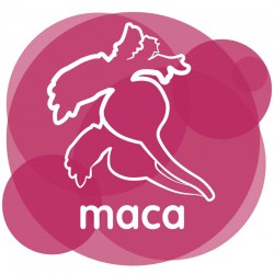 Maca Andina Ecològica Negra i Mix (Groga+Vermella+Negra)