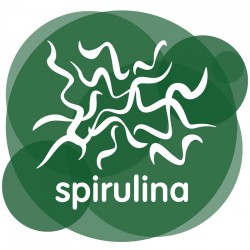 Espirulina Eco en polvo es una alga que nos aporta muchas proteínas